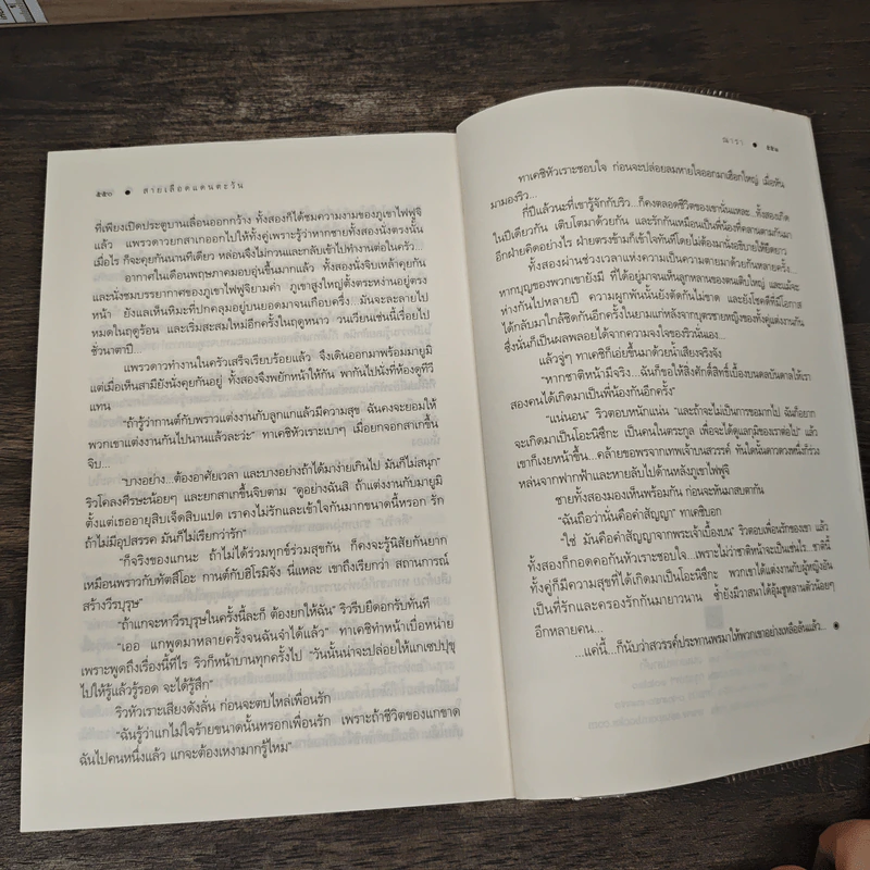 สายเลือดแดนตะวัน - ณารา รูปที่ 8