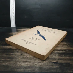 Preliminary Field Guide to the Birds of the Indian Ocean - George E. Watson, Richard L. Zusi รูปที่ 4