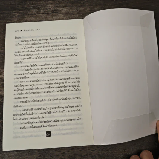 พันธะสีเพลิง - ติญญา รูปที่ 8