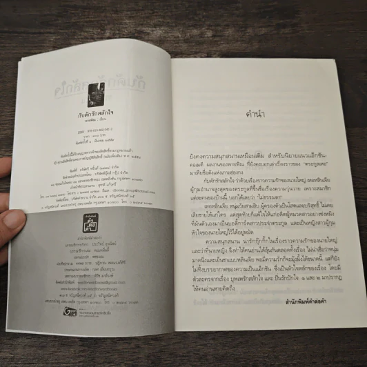 กับดักรักสลักใจ - พายพิณ รูปที่ 6