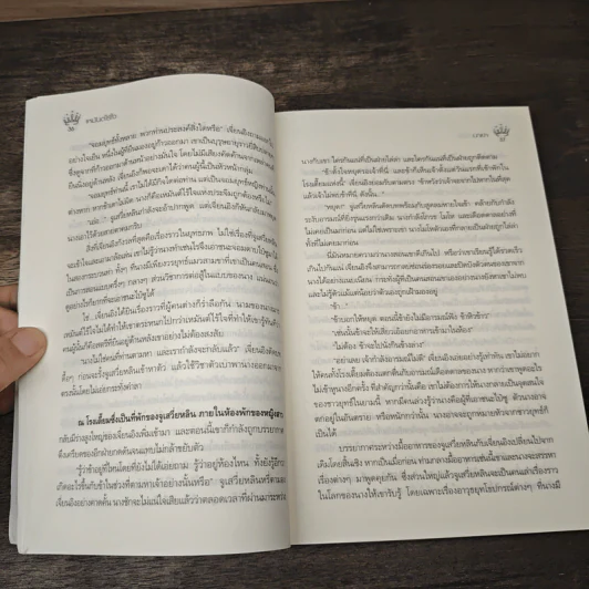 เหมันต์ไร้ใจ - นาย่า รูปที่ 7