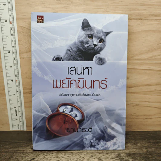 เสน่หาพยัคฆินทร์ - ยามาระตี รูปที่ 1