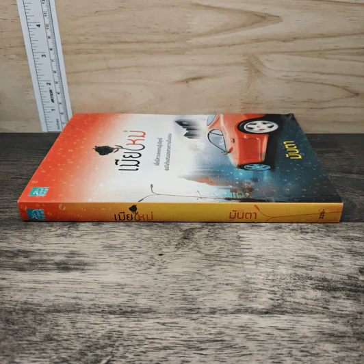 เมียใหม่ - มันตา รูปที่ 2