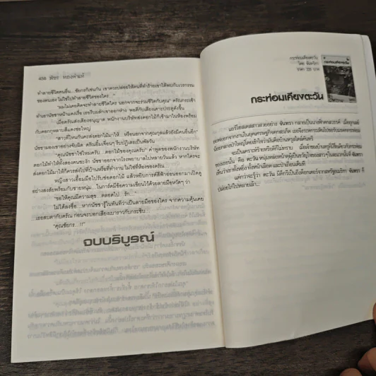 ทะเลสาปสีเลือด - พัชร ทองคำแท้ รูปที่ 8