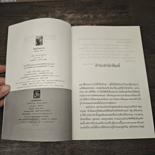 ลมอำพราง - ช้องมาศ รูปที่ 6