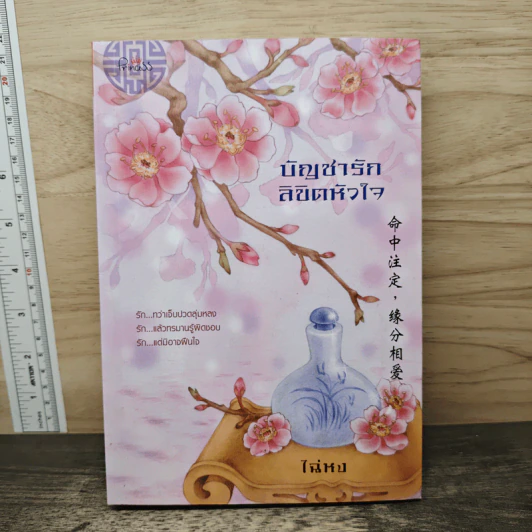 บัญชารัก ลิขิตหัวใจ - ไฉ่หง รูปที่ 1