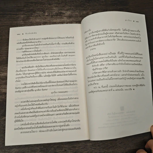 ห้วงรักนิรมิต - มุกเรียง รูปที่ 8