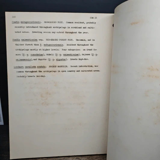 Preliminary Field Guide to the Birds of the Indian Ocean - George E. Watson, Richard L. Zusi รูปที่ 10