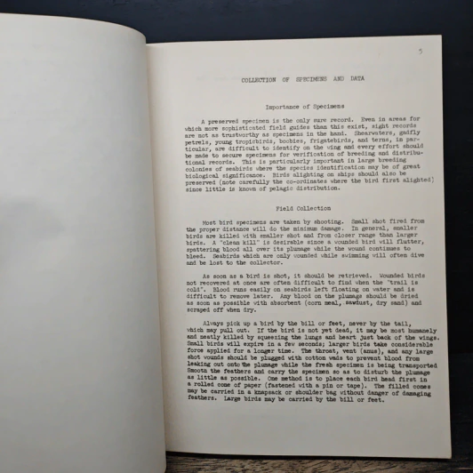 Preliminary Field Guide to the Birds of the Indian Ocean - George E. Watson, Richard L. Zusi รูปที่ 9