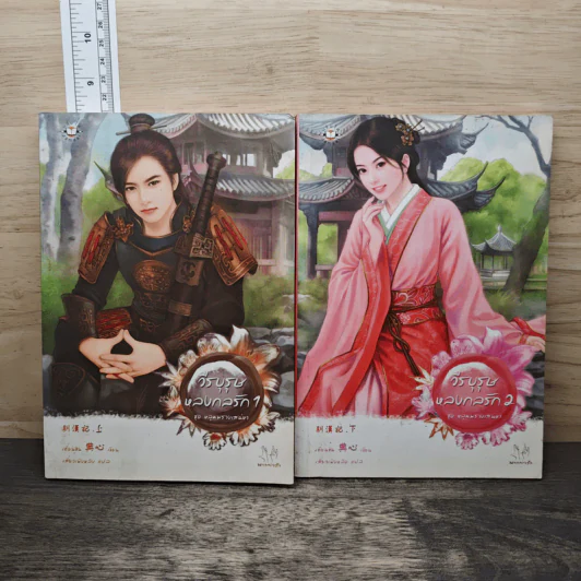วีรบุรุษหลงกลรัก 2 เล่มจบ - เตี่ยนซิน รูปที่ 1
