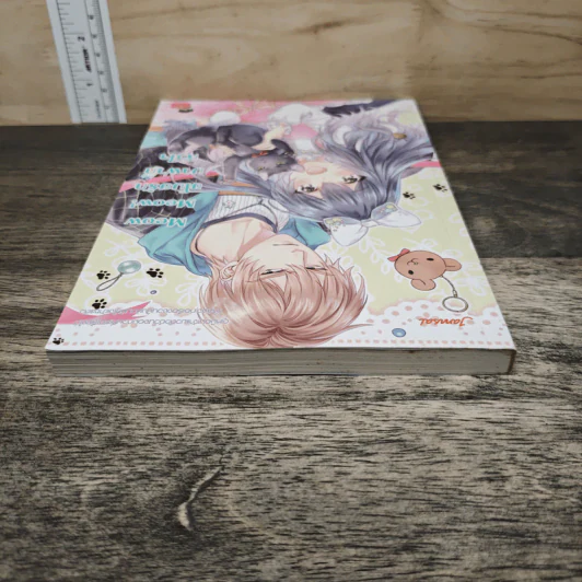 Meow Meow! ขโมยรักมาฝากหัวใจ - CandyCat รูปที่ 4