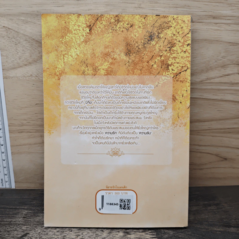 คู่มือนางกำนัลฉบับสมบูรณ์ - เหมยลี่ซือไต้ รูปที่ 5