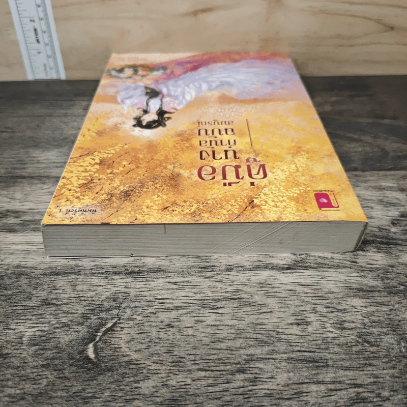 คู่มือนางกำนัลฉบับสมบูรณ์ - เหมยลี่ซือไต้ รูปที่ 4
