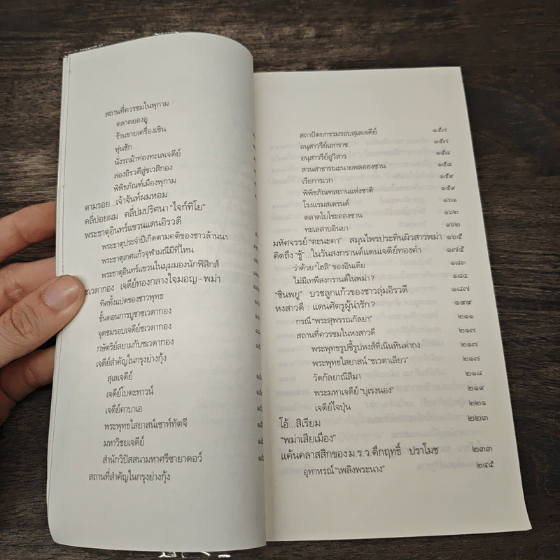 ท่องแดนเจดีย์ไพรในพุกามประเทศ - ธีรภาพ โลหิตกุล รูปที่ 9