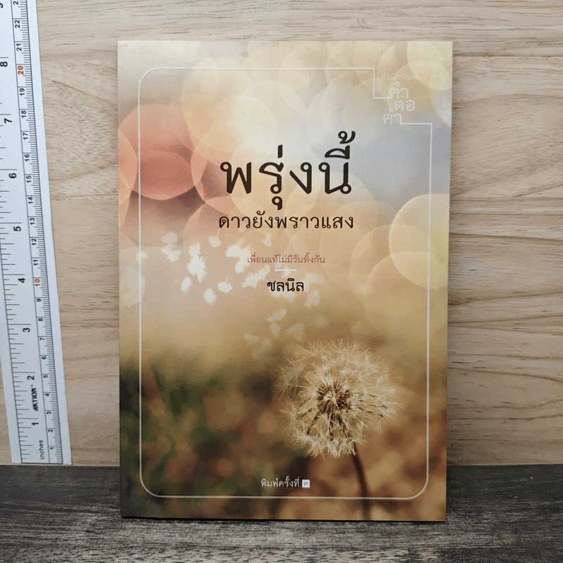 พรุ่งนี้ ดาวยังพราวแสง - ชลนิล รูปที่ 1