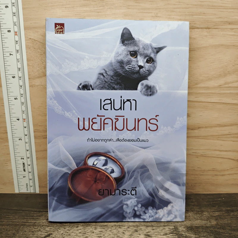 เสน่หาพยัคฆินทร์ - ยามาระตี รูปที่ 1