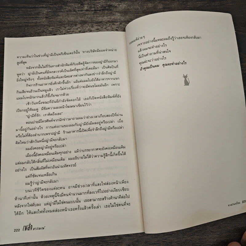 เพลิงอารมณ์ - จางม่านเจวียน รูปที่ 8