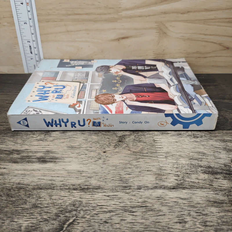 Why R U เพราะรักใช่เปล่า #ไฟท์เตอร์ติวเตอร์ - CandyOn รูปที่ 2