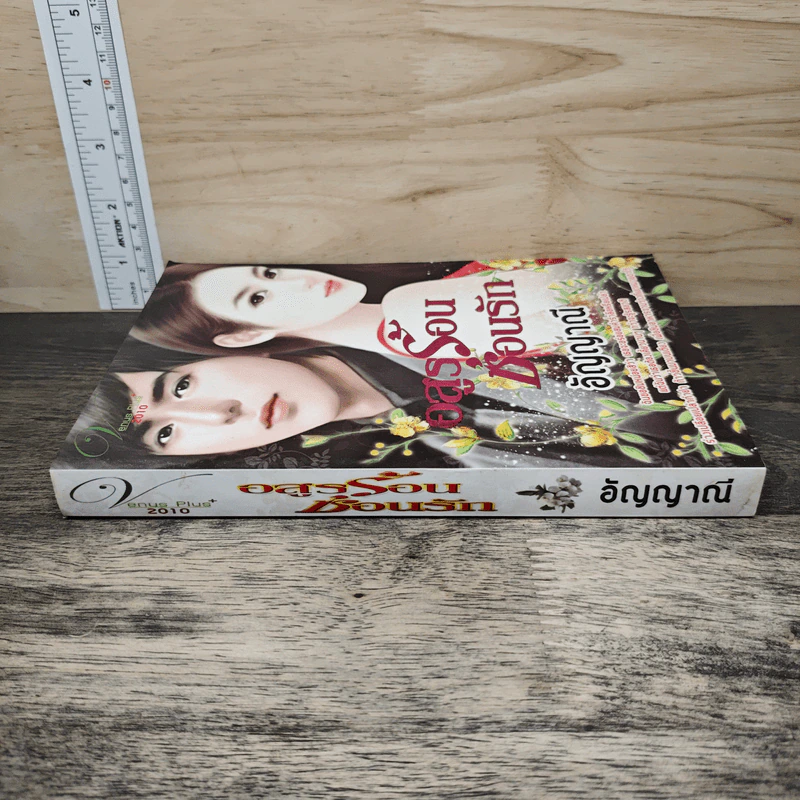 อสูรร้อนซ่อนรัก - อัญญาณี รูปที่ 2