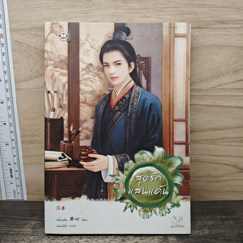 สุดรักแสนแค้น - เตี่ยนซิน รูปที่ 1