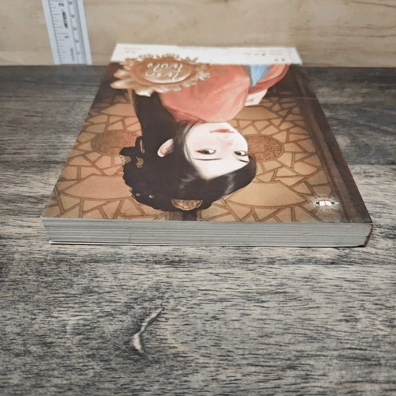 ใยรักโยงใจ - เตี่ยนซิน รูปที่ 4