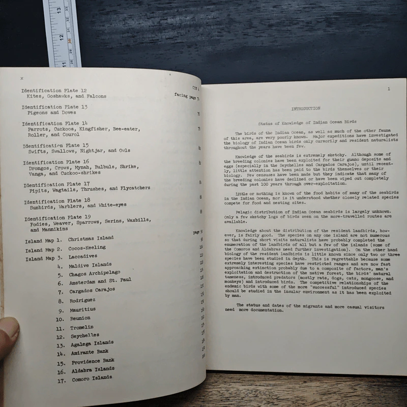 Preliminary Field Guide to the Birds of the Indian Ocean - George E. Watson, Richard L. Zusi รูปที่ 8