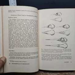 Fundamentals of Ornithology - Josselyn Van Tyne, Andrew J. Berger รูปที่ 12