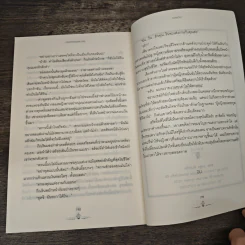 บ่วงรักเทพบุตรมาเฟีย - เพลงมีนา รูปที่ 9
