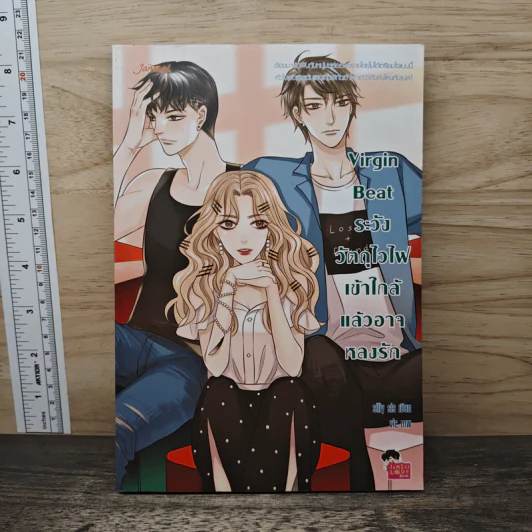 Virgin Beat ระวังวัตถุไวไฟเข้าใกล้แล้วอาจหลงรัก - silly sis รูปที่ 1