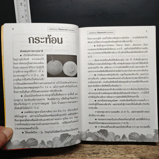 เกษตรใหม่เทคนิคบำรุง ไม้ผลแนวหน้า ครบวงจร รูปที่ 8