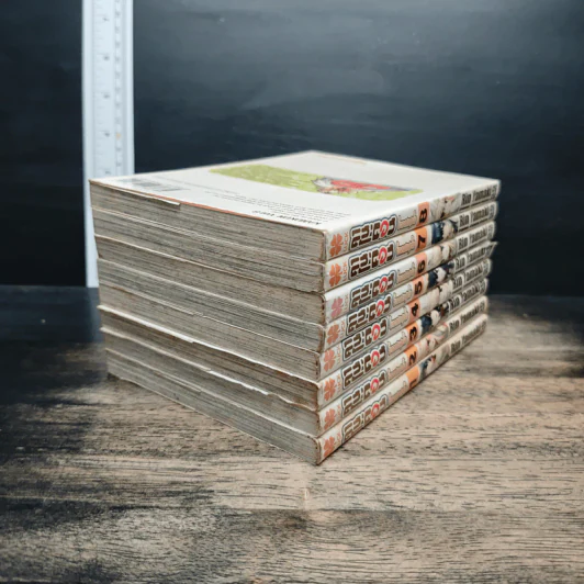 คาโนค่อน จิ้งจอกสาวสุดจี๊ด เล่ม 1-8 - Rin Yamaki รูปที่ 4