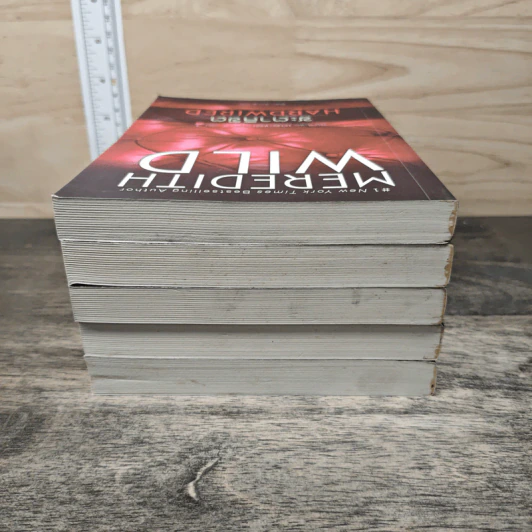 นิยายชุด เดอะแฮกเกอร์ เล่ม 1-5 - Meredith Wild, ปิยะฉัตร แก้วกานต์ รูปที่ 5