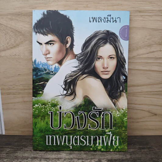 บ่วงรักเทพบุตรมาเฟีย - เพลงมีนา รูปที่ 1