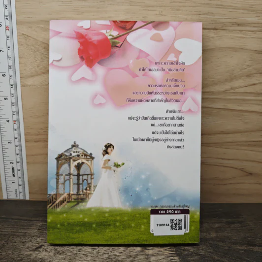 เมียข้ามคืน - ญานิสา บีม รูปที่ 5