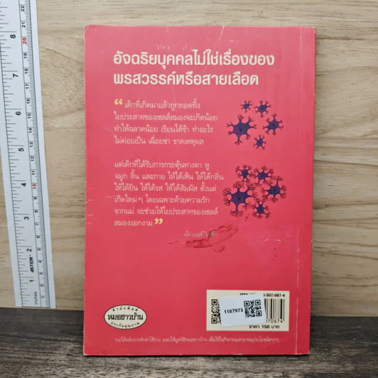 รอให้ถึงอนุบาลก็สายเสียแล้ว - มาซารุ อินุกะ รูปที่ 5