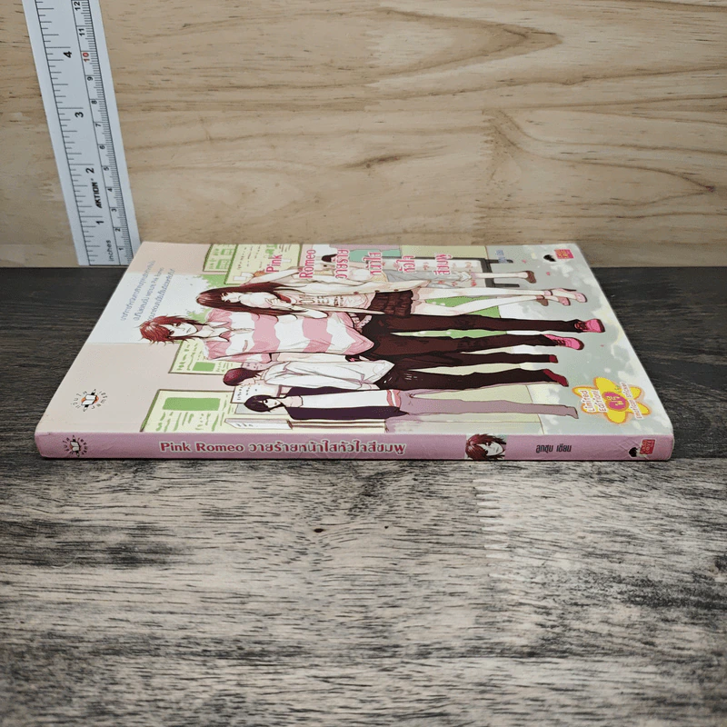 Pink Romeo วายร้ายหน้าใสหัวใจสีชมพู - ลูกชุบ รูปที่ 2