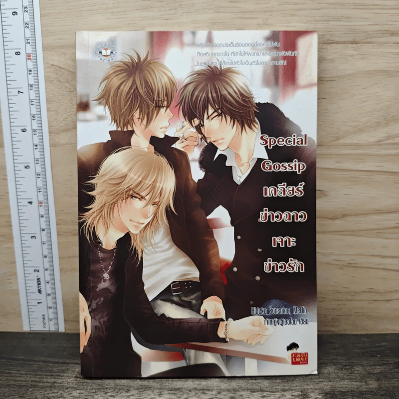 Special Gossip เคลียร์ข่าวฉาวเจาะข่าวรัก - Hideko_Sunshine, Merlin รูปที่ 1