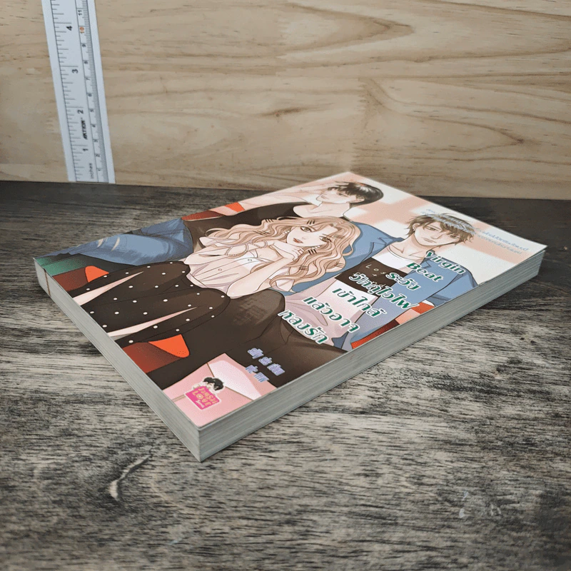 Virgin Beat ระวังวัตถุไวไฟเข้าใกล้แล้วอาจหลงรัก - silly sis รูปที่ 3
