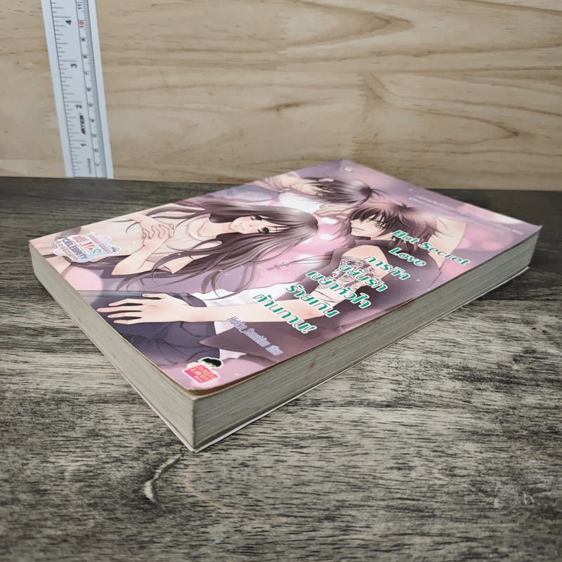 Hot Secret Love ภารกิจขยับรักเขย่าหัวใจร้ายเกินต้านทาน! - Hideko_Sunshine รูปที่ 3