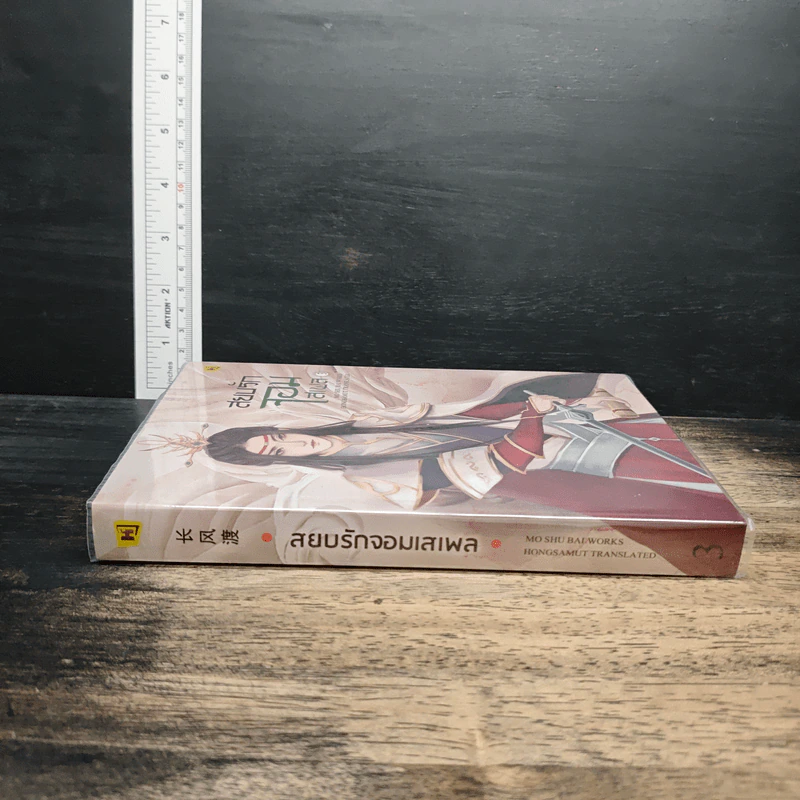 สยบรักจอมเสเพล เล่ม 3 - โม่ซูไป๋, ห้องสมุด รูปที่ 3