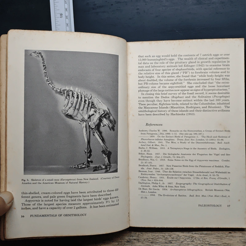 Fundamentals of Ornithology - Josselyn Van Tyne, Andrew J. Berger รูปที่ 11