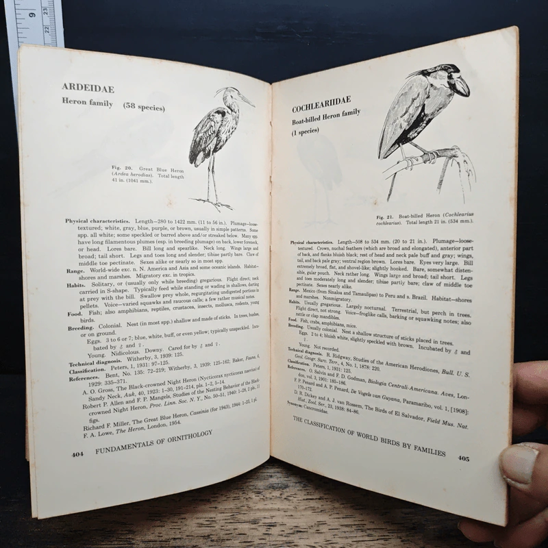 Fundamentals of Ornithology - Josselyn Van Tyne, Andrew J. Berger รูปที่ 15