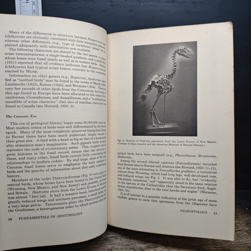 Fundamentals of Ornithology - Josselyn Van Tyne, Andrew J. Berger รูปที่ 10