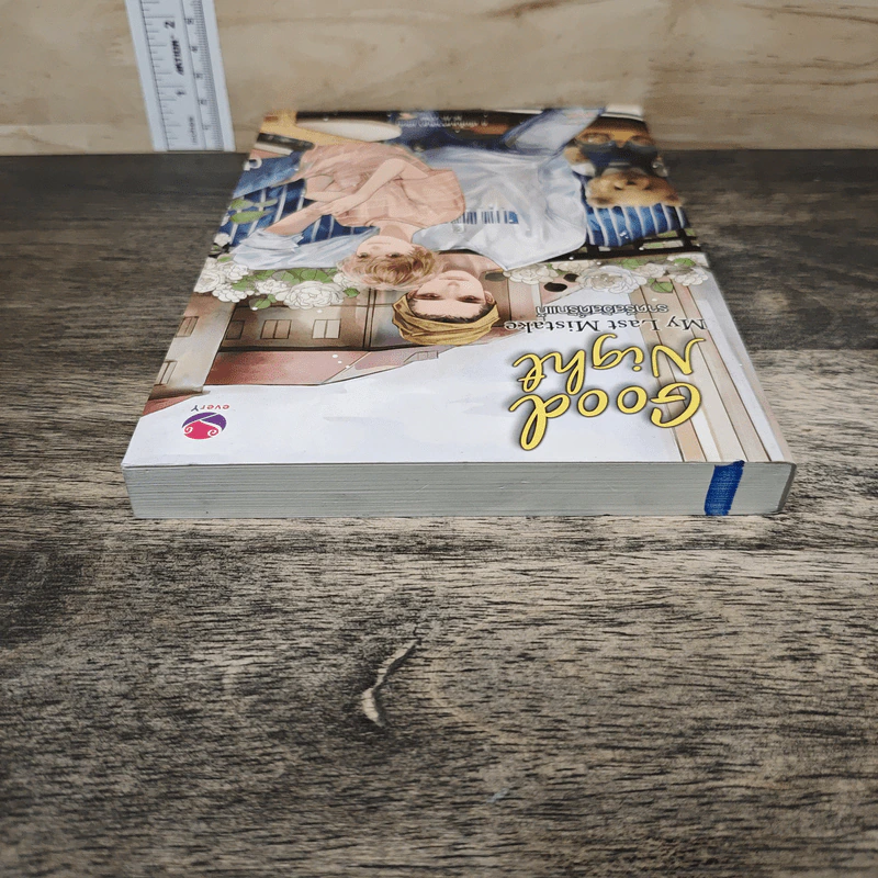 Good Night My Last Mistake ราตรีสวัสดิ์รักแท้ - ร เรือในมหาสมุท รูปที่ 4