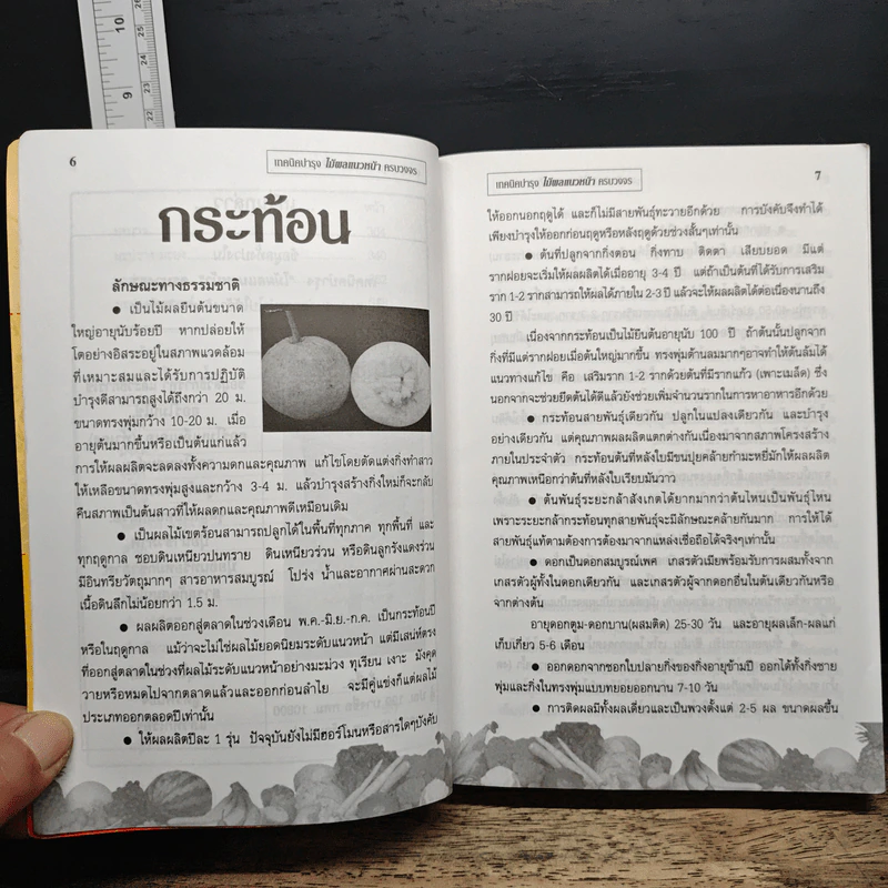 เกษตรใหม่เทคนิคบำรุง ไม้ผลแนวหน้า ครบวงจร รูปที่ 8