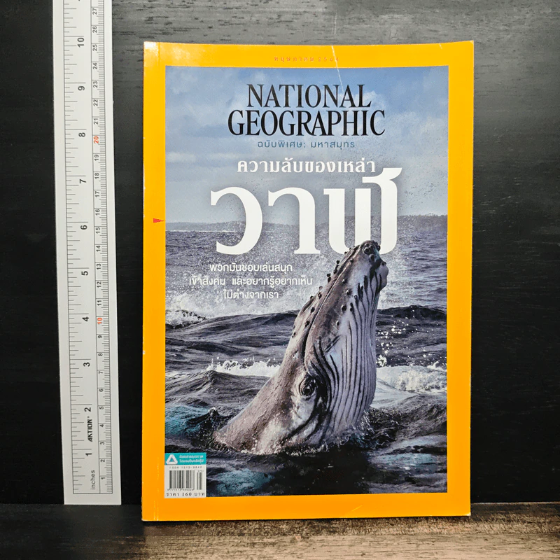 NATIONAL GEOGRAPHIC ฉบับที่ 238 พ.ค.2564 รูปที่ 1