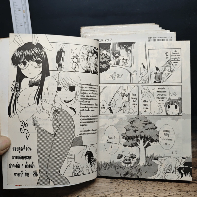 คาโนค่อน จิ้งจอกสาวสุดจี๊ด เล่ม 1-8 - Rin Yamaki รูปที่ 9