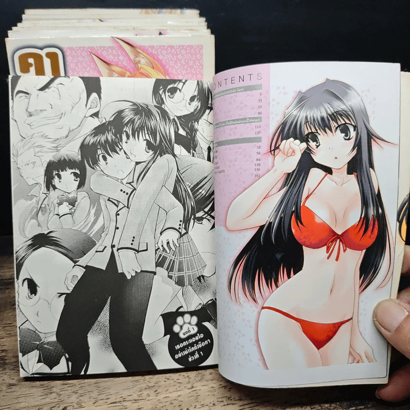 คาโนค่อน จิ้งจอกสาวสุดจี๊ด เล่ม 1-8 - Rin Yamaki รูปที่ 6