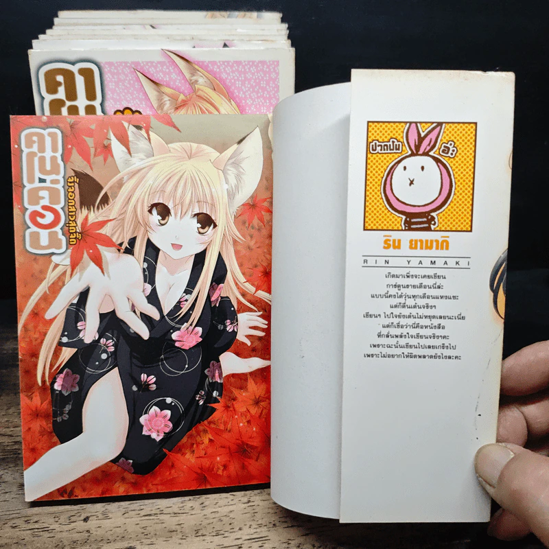 คาโนค่อน จิ้งจอกสาวสุดจี๊ด เล่ม 1-8 - Rin Yamaki รูปที่ 5