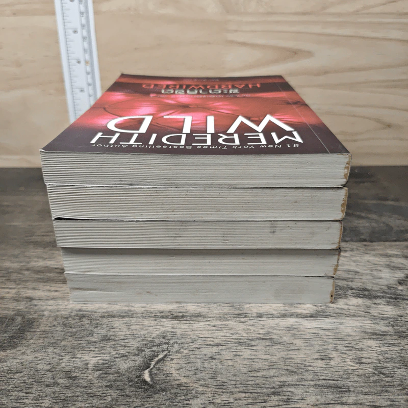 นิยายชุด เดอะแฮกเกอร์ เล่ม 1-5 - Meredith Wild, ปิยะฉัตร แก้วกานต์ รูปที่ 5